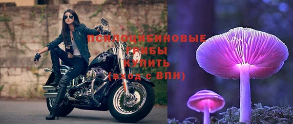 2c-b Зеленодольск