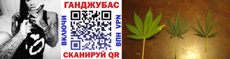 МАРИХУАНА план  купить наркотики сайты  Невель 